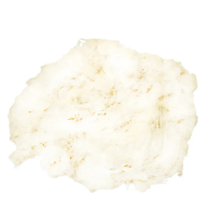 Pastalık Üstübü 1000 gr